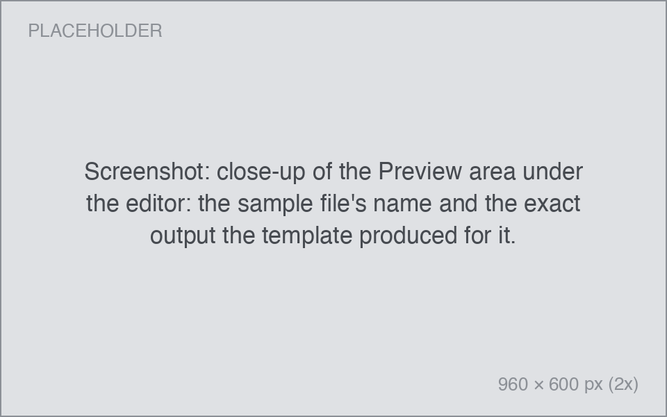 close-up of the Preview area under the editor: the sample file's name and the exact output the template produced for it.
